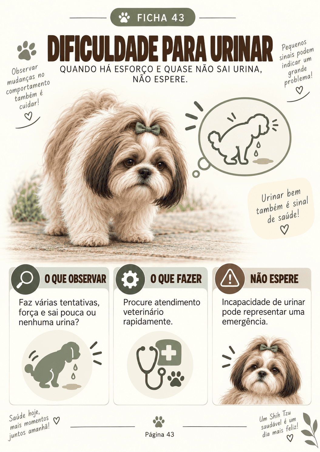 Ficha · Comportamento