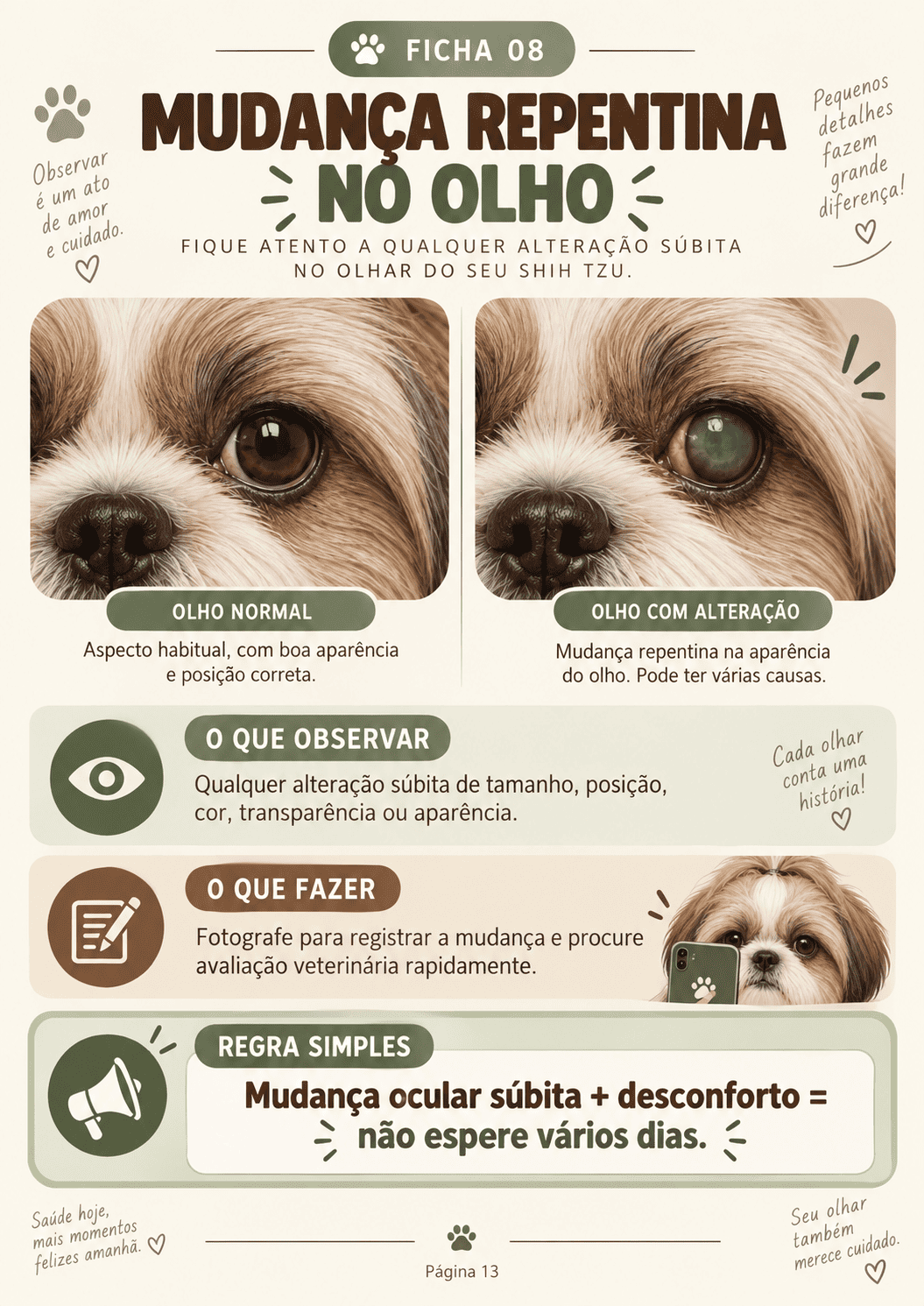 Ficha · Olhos e Visão