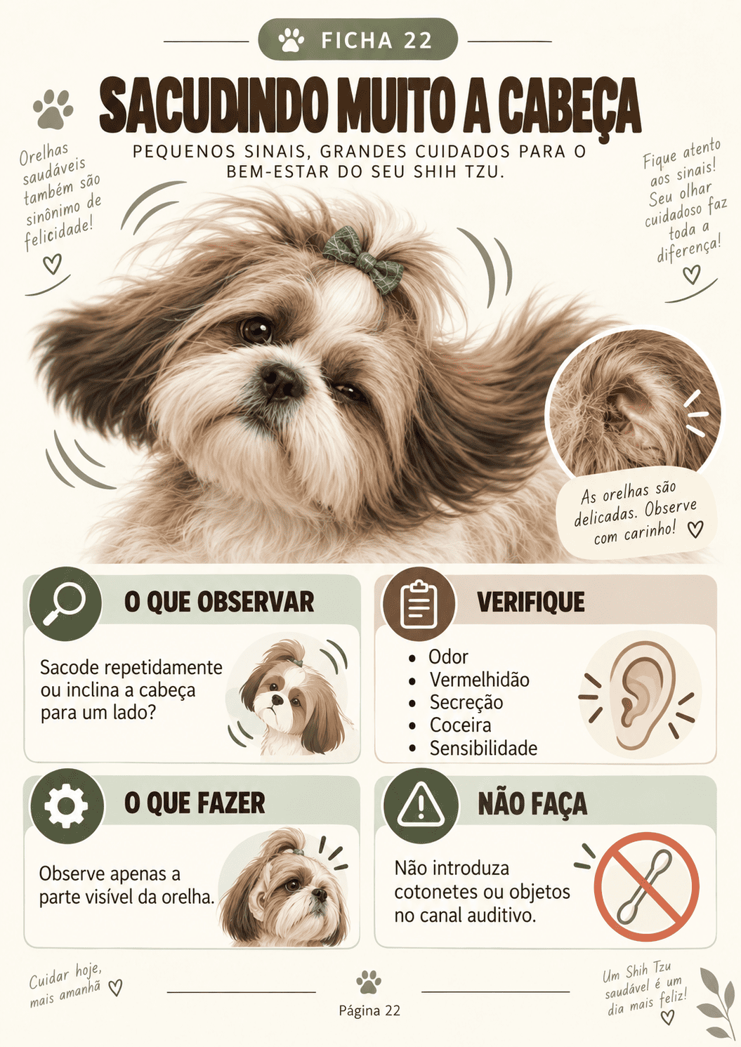 Ficha · Ouvidos