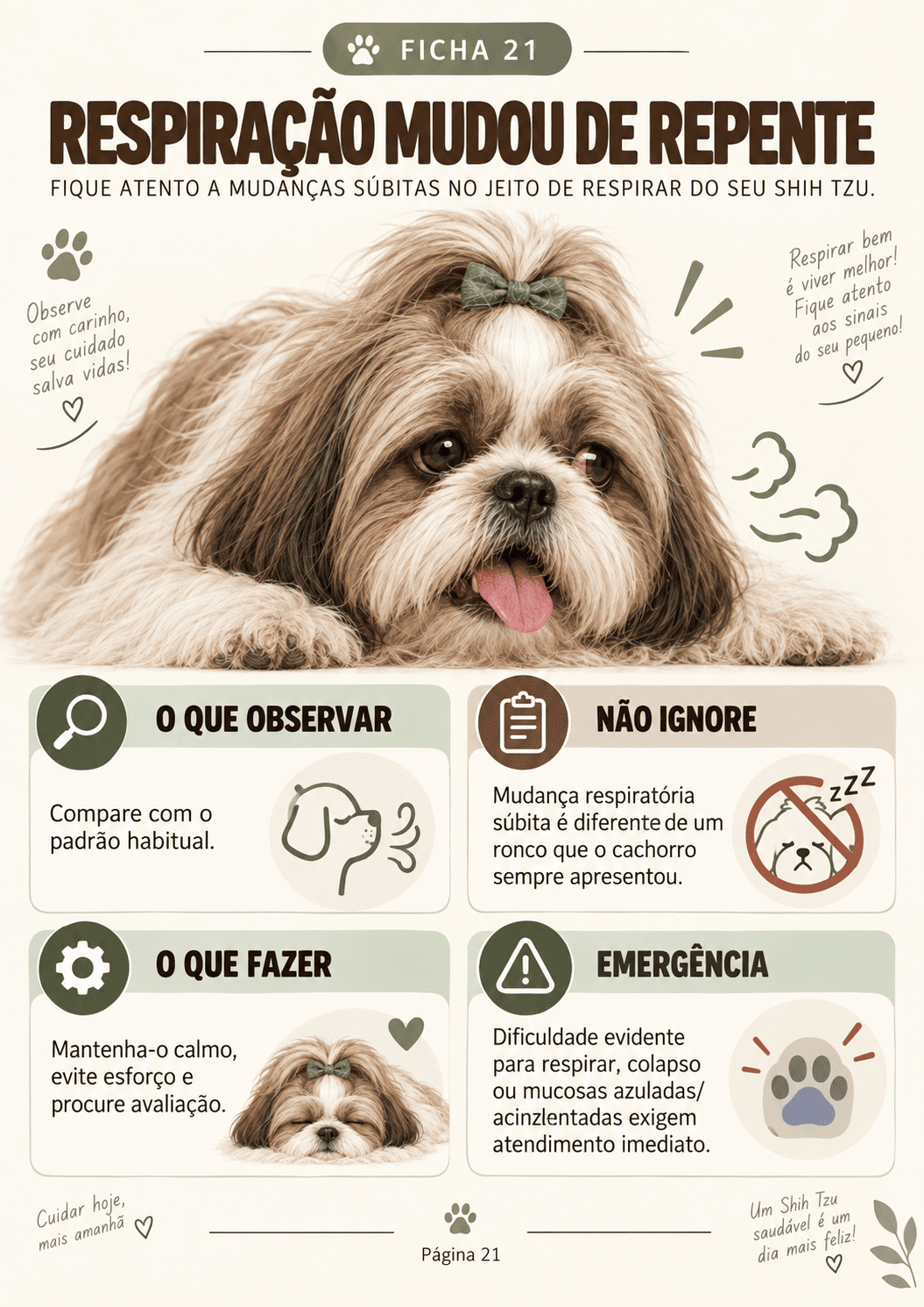 Ficha · Respiração
