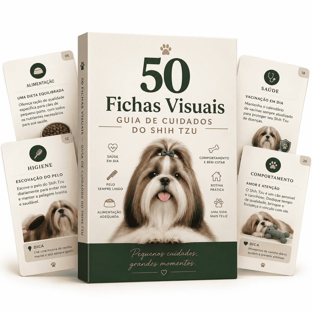 Mockup · 50 Fichas Visuais